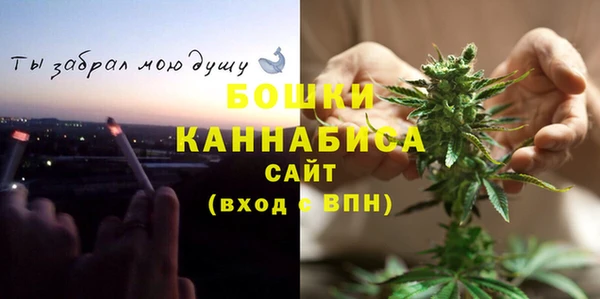 шишки Богородск