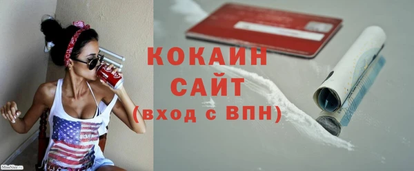 шишки Богородск