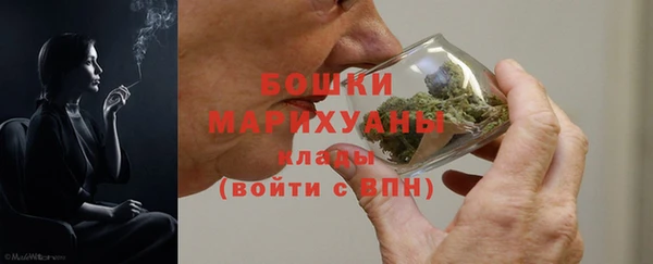 шишки Богородск