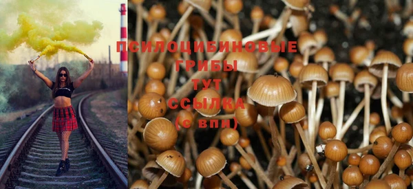шишки Богородск