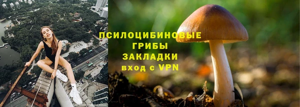 гашик Семикаракорск