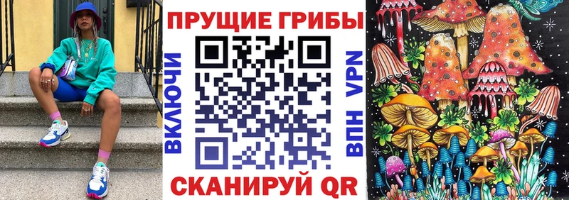 Псилоцибиновые грибы GOLDEN TEACHER  Кинешма 