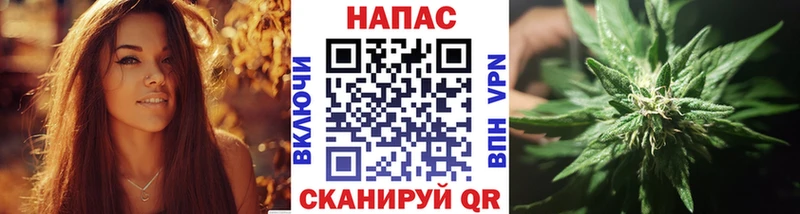 где купить наркоту  Кинешма  Марихуана сатива 
